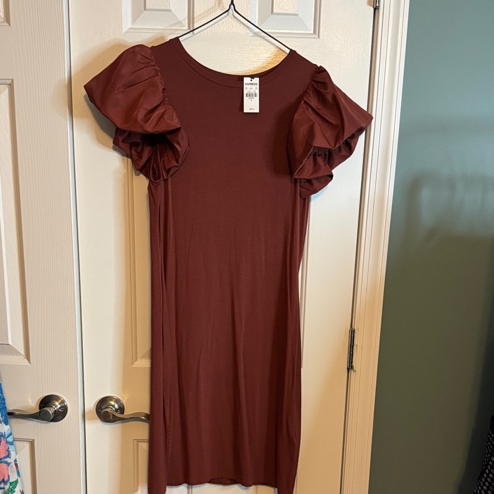 Express Brown Puff Sleeve Mini Dress